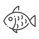 fish_icon.2